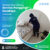 Spesialis-Jasa-Cleaning-Service-Panggilan-Surabaya-2